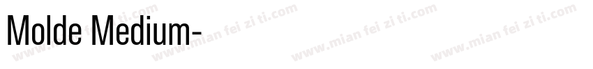 Molde Medium字体转换